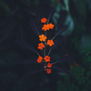 西安机床生产厂家用小蛙营销导航
