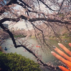 西安机床生产厂家用小蛙营销导航
